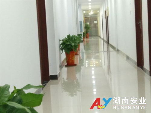 绿色长廊